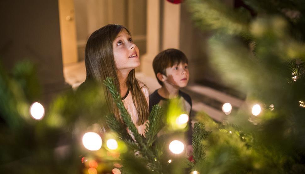 The Lion, the Witch and the Wardrobe: Christmas at Mottisfont